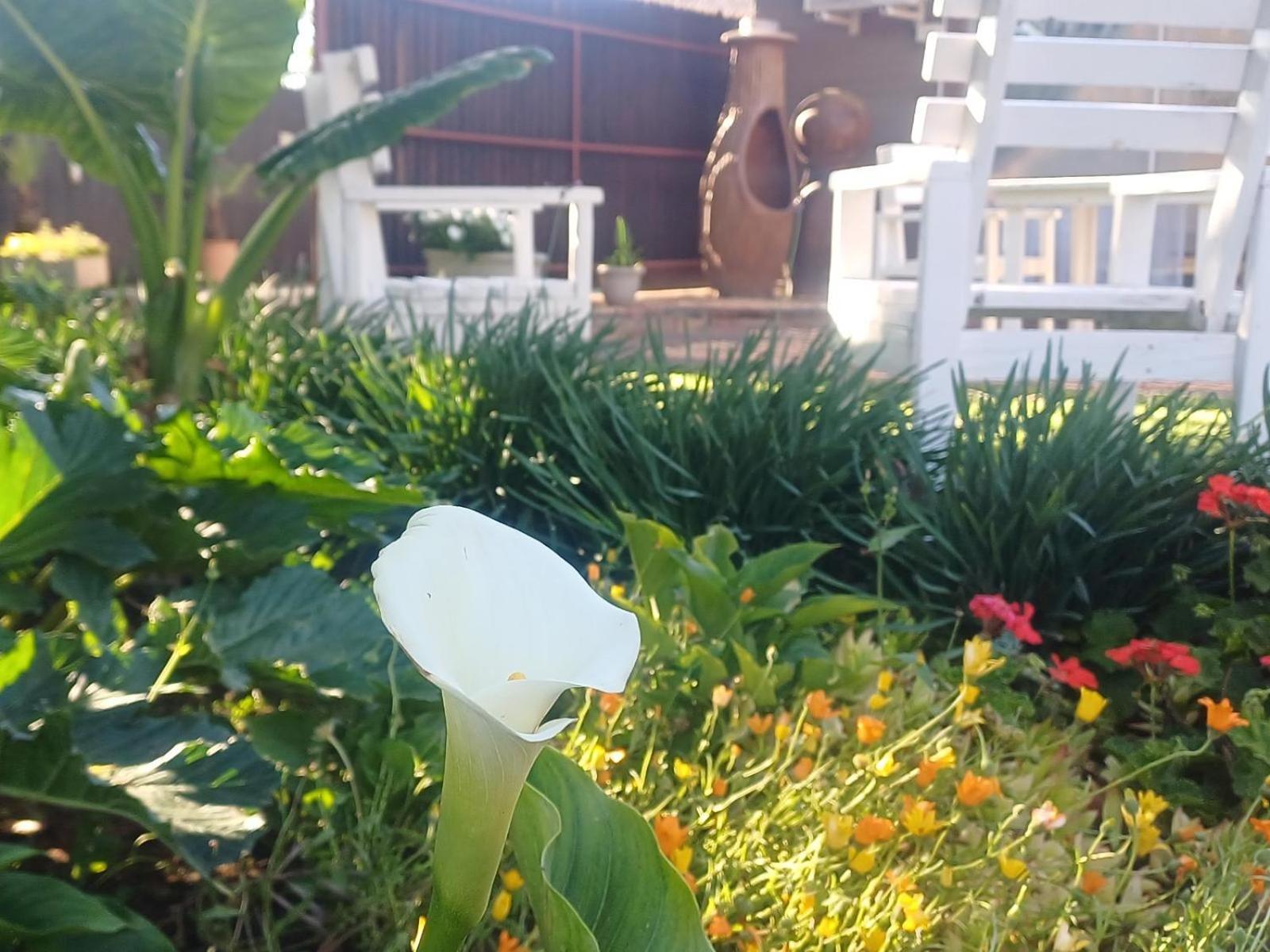 Ceelee'S Place Bloemfontein Esterno foto